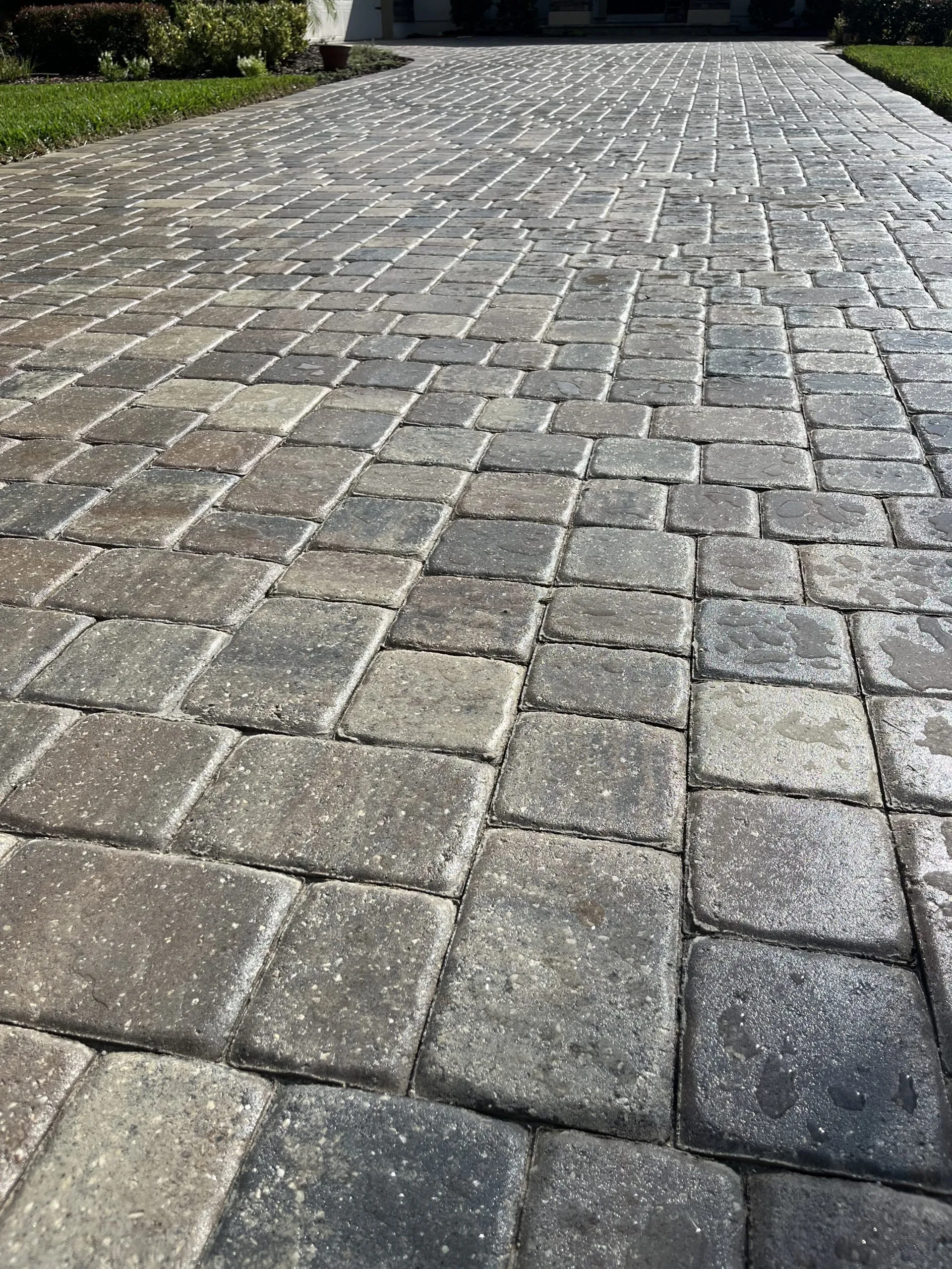 Sealed paver driveway with restored joints and color